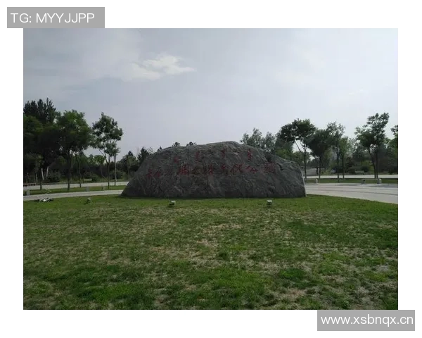 贝宁足球的重塑之路:不归门前的叹息与期待跨越半世纪的梦想 贝宁足球的重塑之路:不归门前的叹息与期待跨越半世纪的梦想